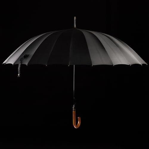 Verdone WEISNER CAPITOL Automatik Stockschirm – 2-Personen Regenschirm mit Windschutz, Ø120 cm und elegantem Etui