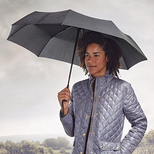 Amazon Basics Automatischer Reise-Regenschirm, kompakt & winddicht, ideal für unterwegs, Schwarz